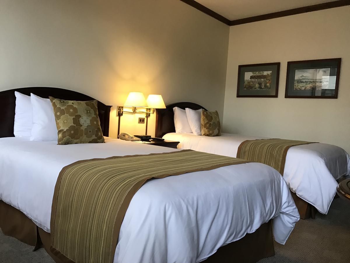 Socialtel Quito Hotel Ngoại thất bức ảnh