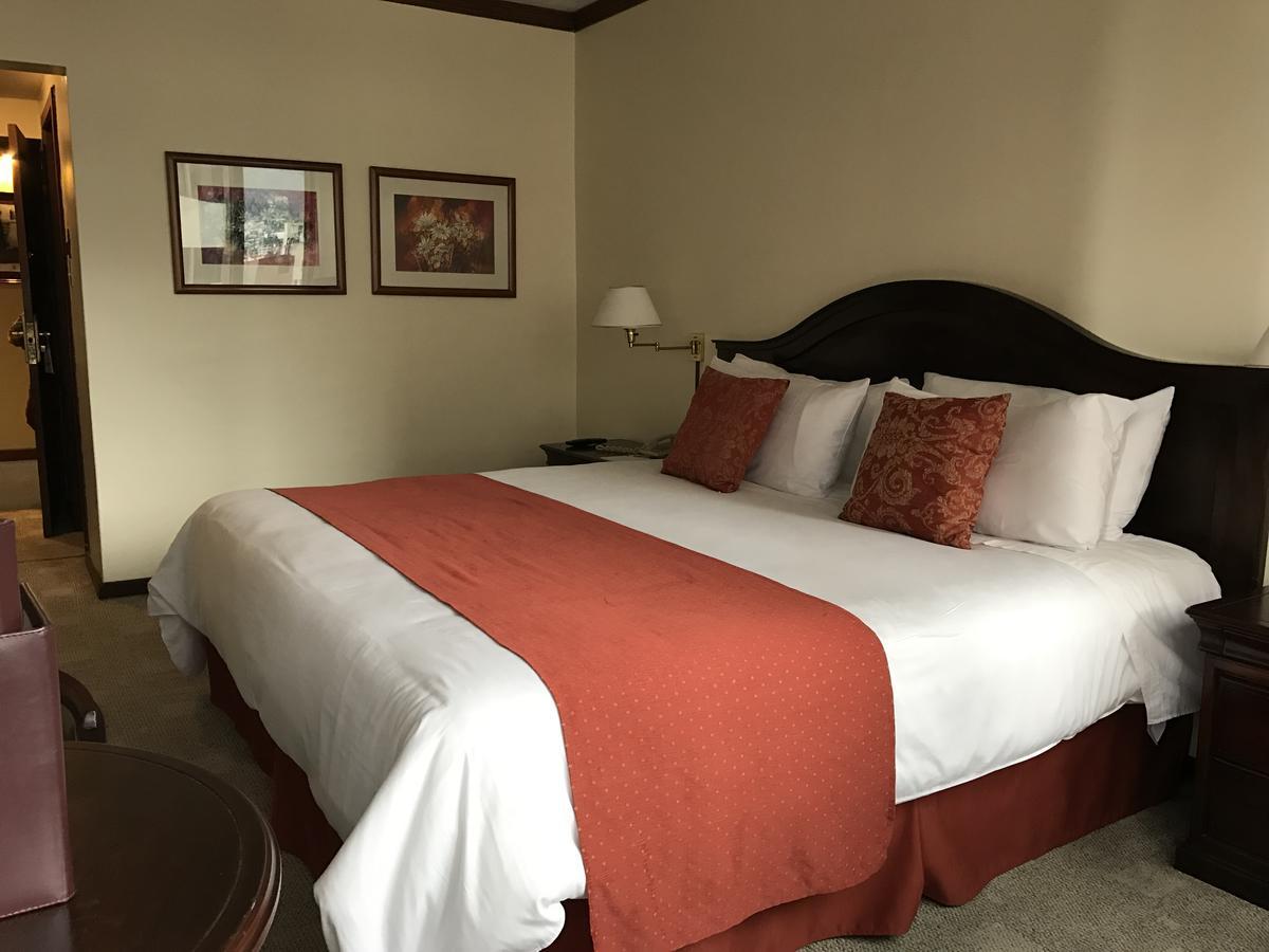 Socialtel Quito Hotel Ngoại thất bức ảnh