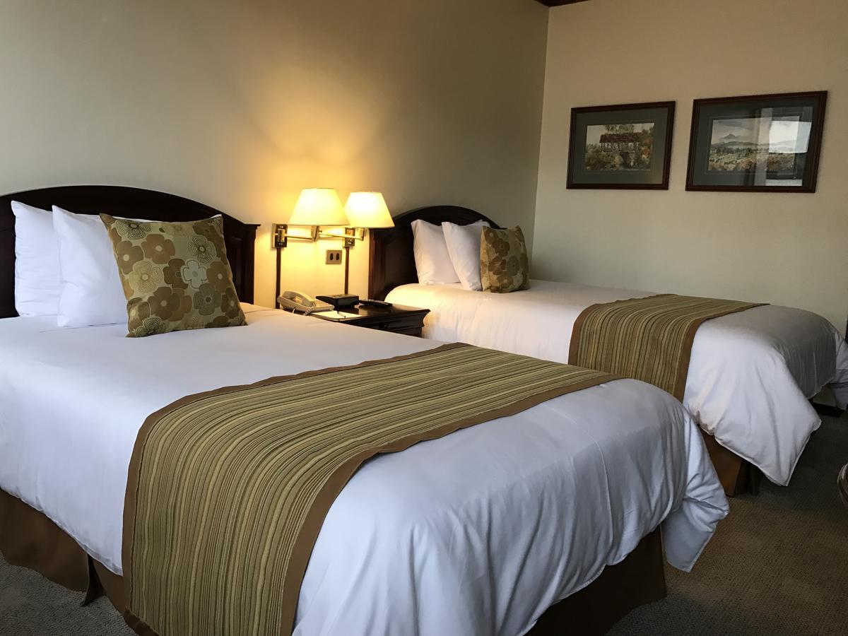 Socialtel Quito Hotel Ngoại thất bức ảnh